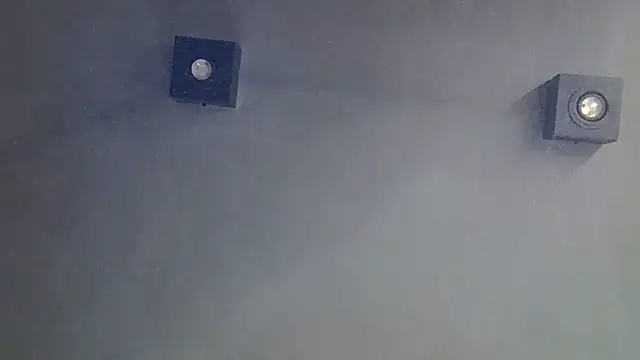 SkinnyKitten webcam