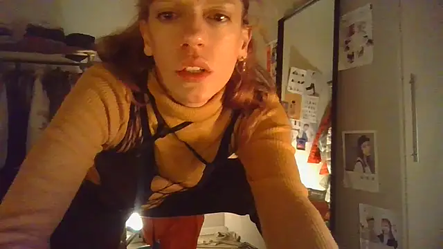 plsmecha webcam