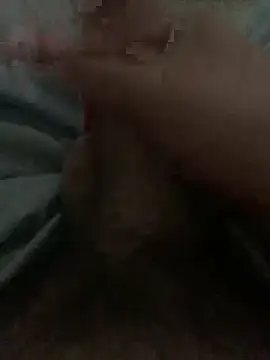 Wassimdz410 webcam