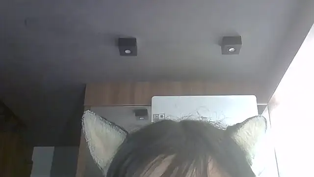 SkinnyKitten webcam