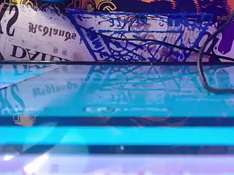 Keily_Tsx1 webcam