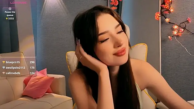 noonespyed webcam