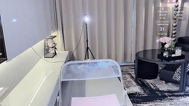 lvy-w webcam