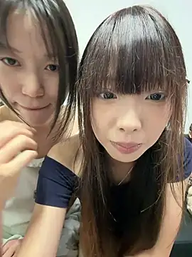 YY-1-1-1 webcam