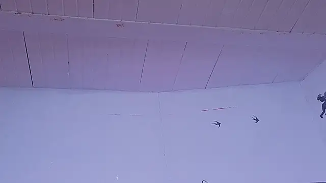 Anto055 webcam