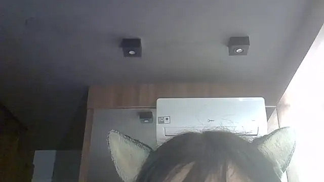 SkinnyKitten webcam