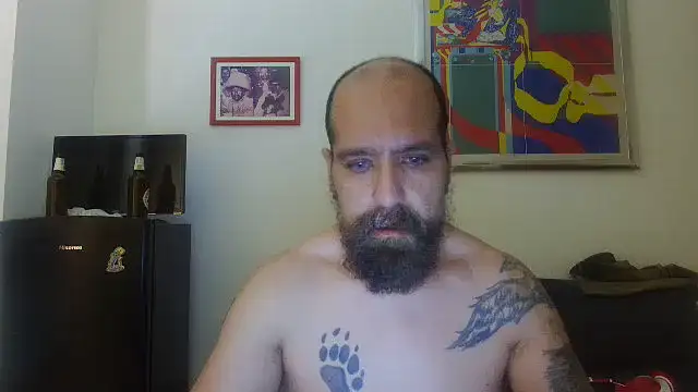AMIRDIB2025 webcam
