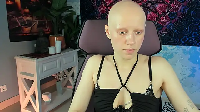 LidaDarknet webcam