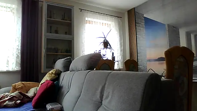 Geiler668 webcam