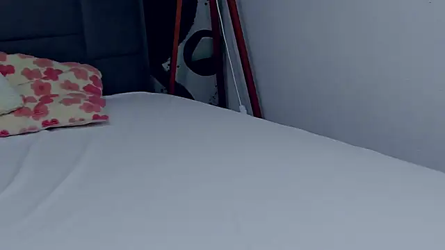 AlmaFancy webcam