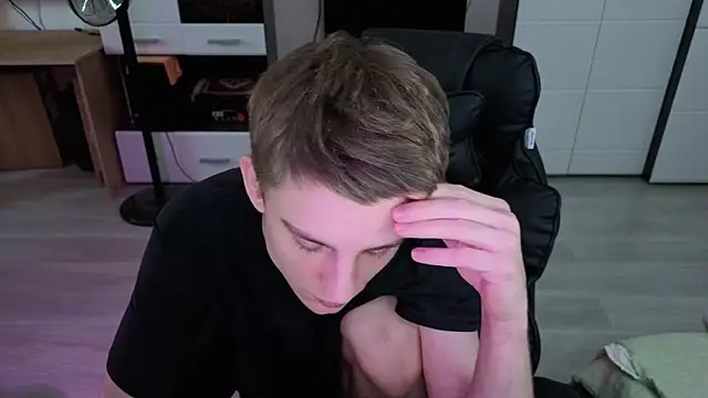 pvlpstvy webcam