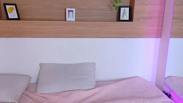 AniKriis webcam