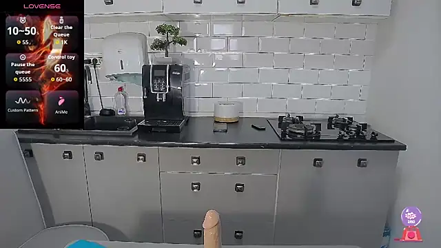 erikaerika webcam