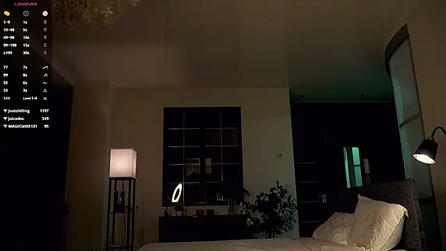 SanySenise webcam