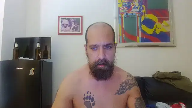 AMIRDIB2025 webcam