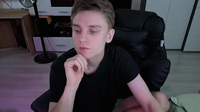pvlpstvy webcam