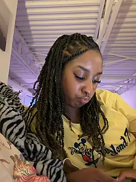 Your_Paris webcam