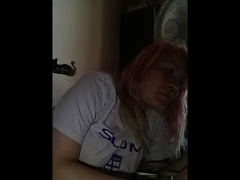 laFinlandese webcam