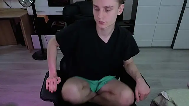 pvlpstvy webcam