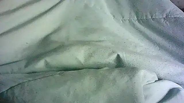 _P3RKY_IMMORTAL3_FIR3_ webcam