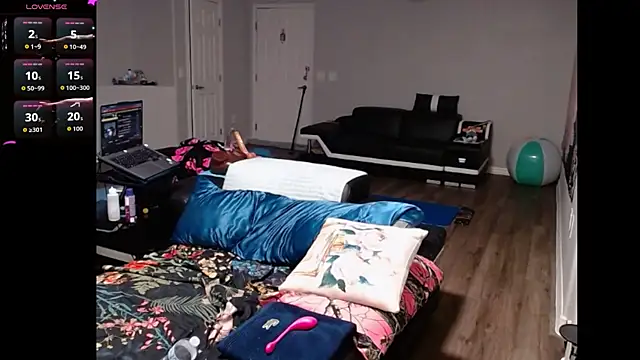 ReeseZen webcam