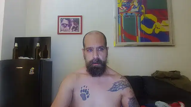 AMIRDIB2025 webcam