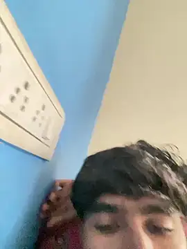 pixzx09 webcam