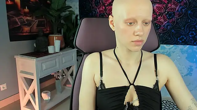 LidaDarknet webcam