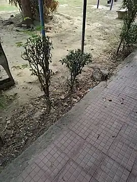 FuckingMunna webcam