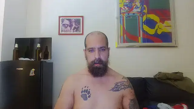 AMIRDIB2025 webcam