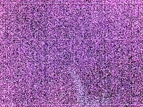elturcudito webcam