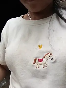 Xemra4040 webcam