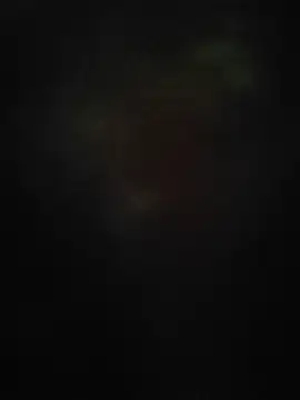 Vickyins480000 webcam