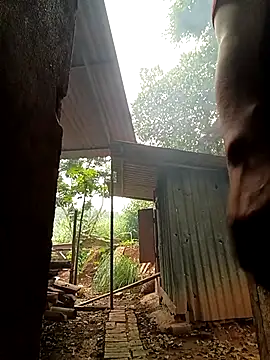 Jinli_01 webcam