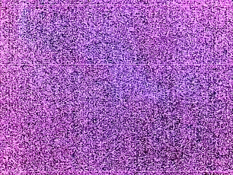 elturcudito webcam