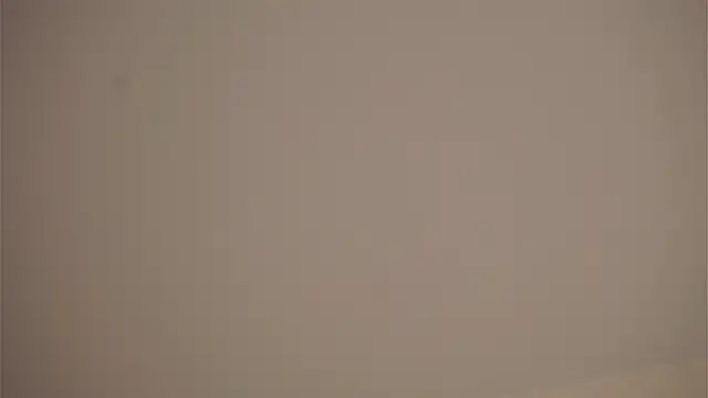 WendiPrier webcam