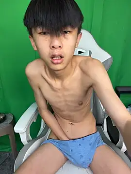 DD-101 webcam