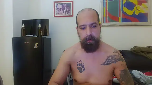 AMIRDIB2025 webcam