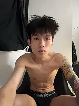 KPL-11 webcam