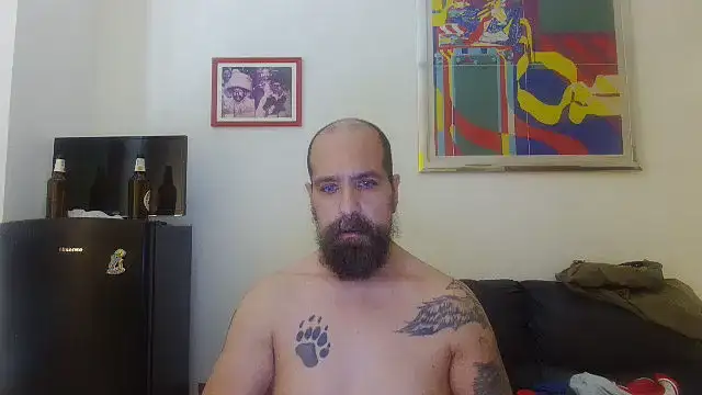AMIRDIB2025
