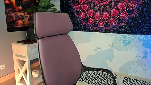 LidaDarknet webcam