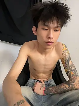 KPL-11 webcam