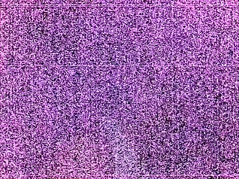 elturcudito webcam
