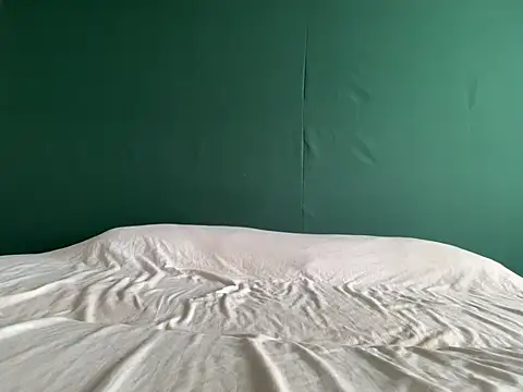 HappyCake webcam