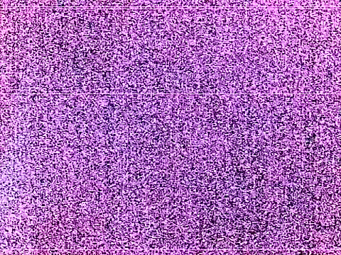 elturcudito webcam