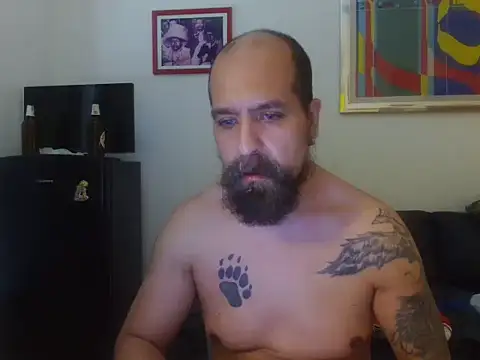 AMIRDIB2025 webcam