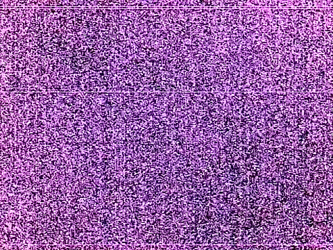 elturcudito webcam