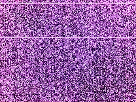 elturcudito webcam