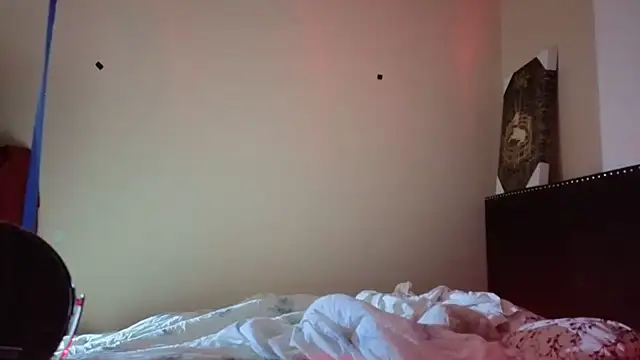 hailzeffn webcam