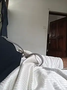 lovebyte60 webcam